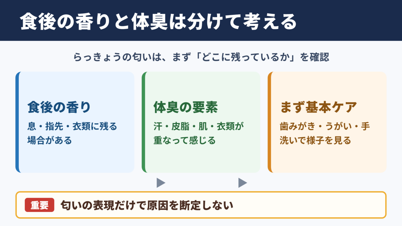 らっきょうのような匂いと体臭の捉え方