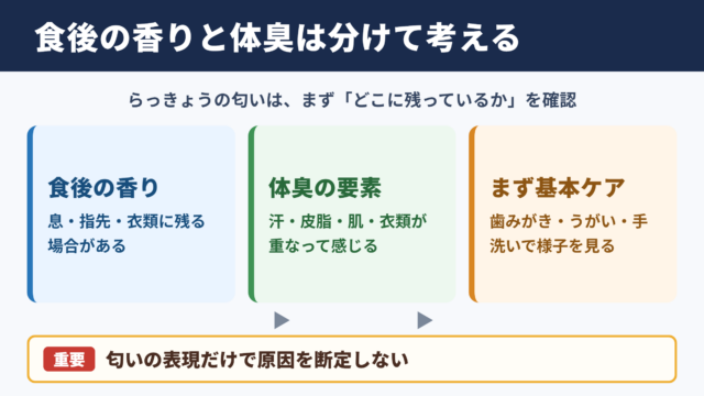 らっきょうのような匂いと体臭の捉え方